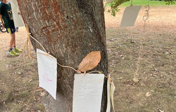 Freedom is... Pages from a poem have been attached to a tree with a thin rope. A leaf is pegged to one of the pages. Just behind the tree, we see a child looking at the pages