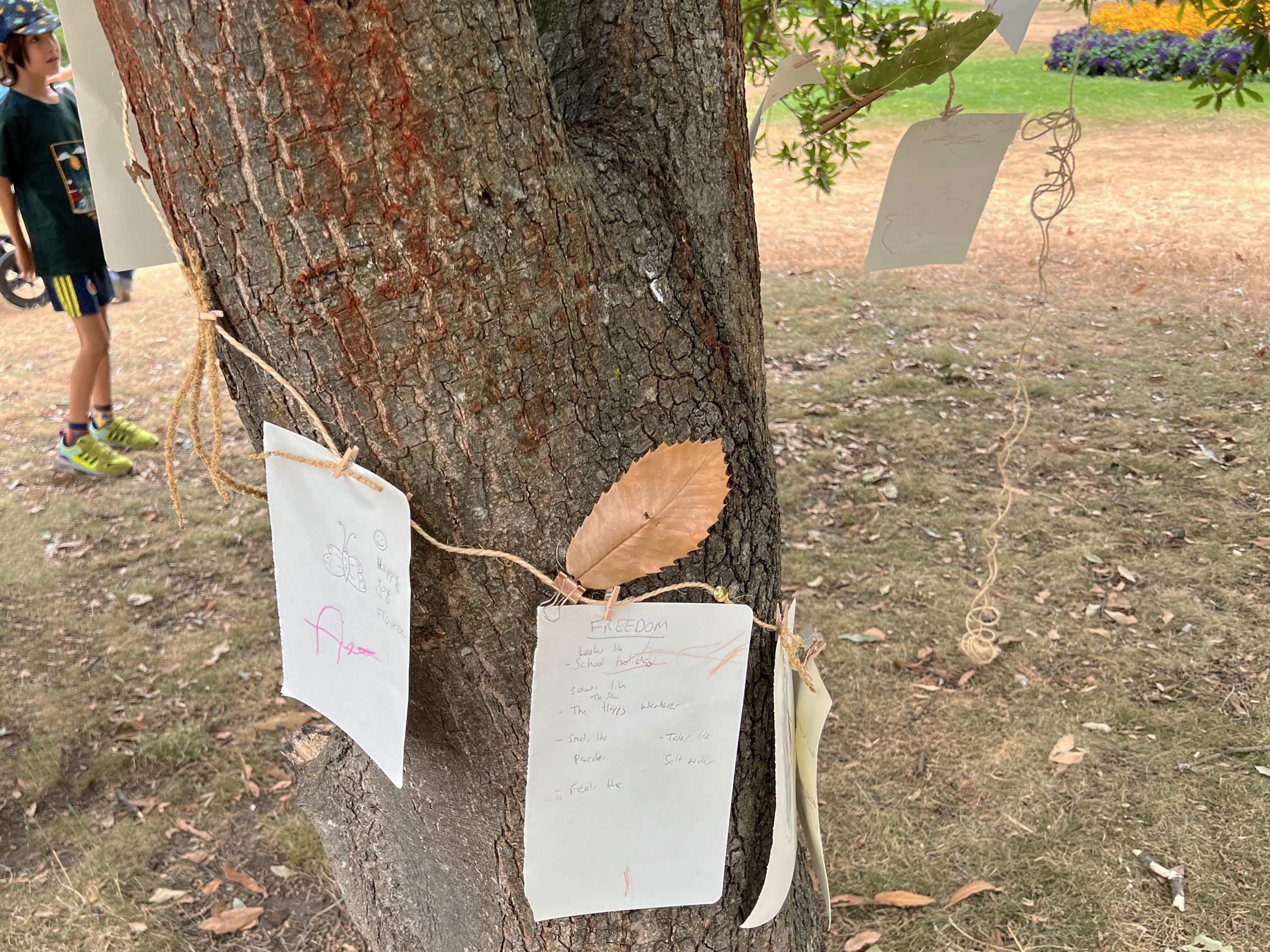 Freedom is... Pages from a poem have been attached to a tree with a thin rope. A leaf is pegged to one of the pages. Just behind the tree, we see a child looking at the pages
